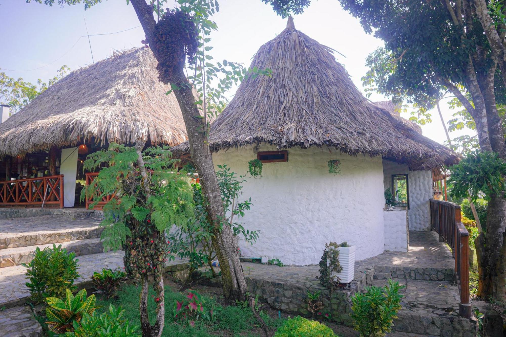 Ecohotel Yachay Tayrona Dentro Del Parque Tayrona El Zaino Exterior photo